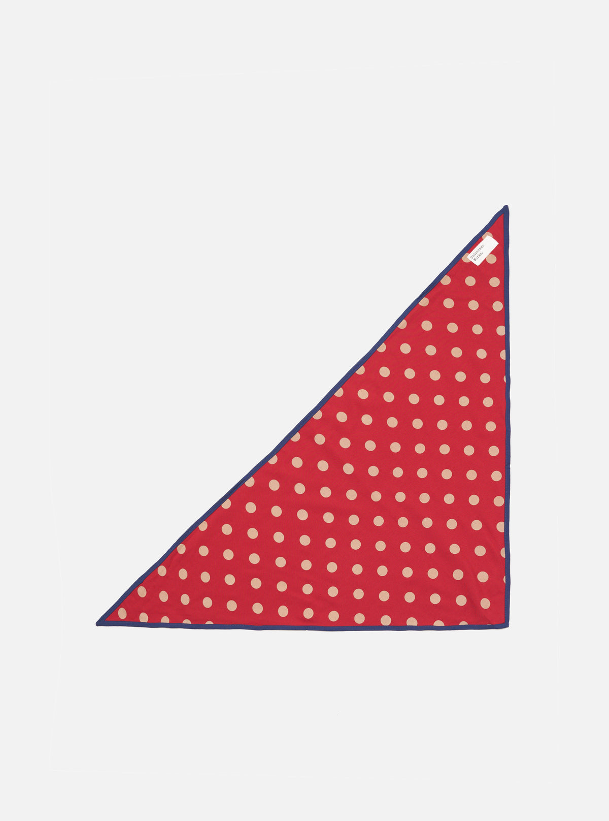 Red Bold Dot Print Rayon Scout Scarf