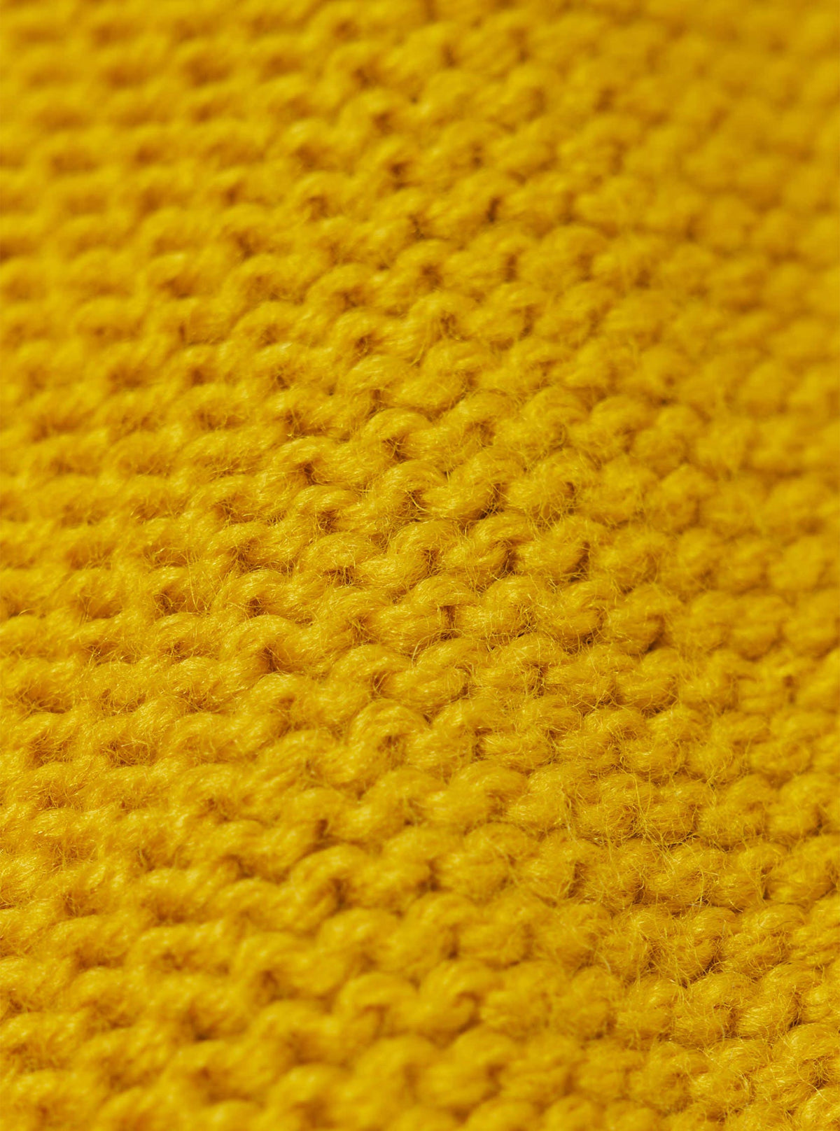 Gold Shetland Wild Seamless Crew