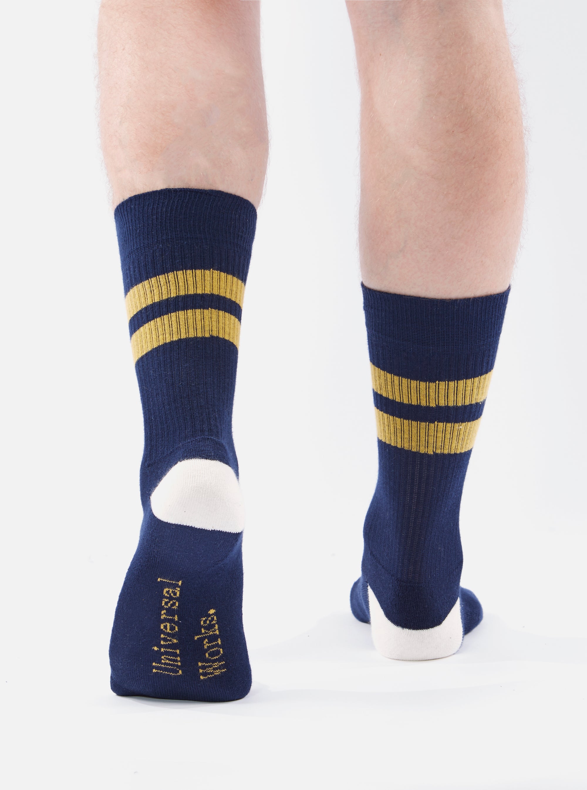 Navy/Yellow Cotton Rib Sport Sock