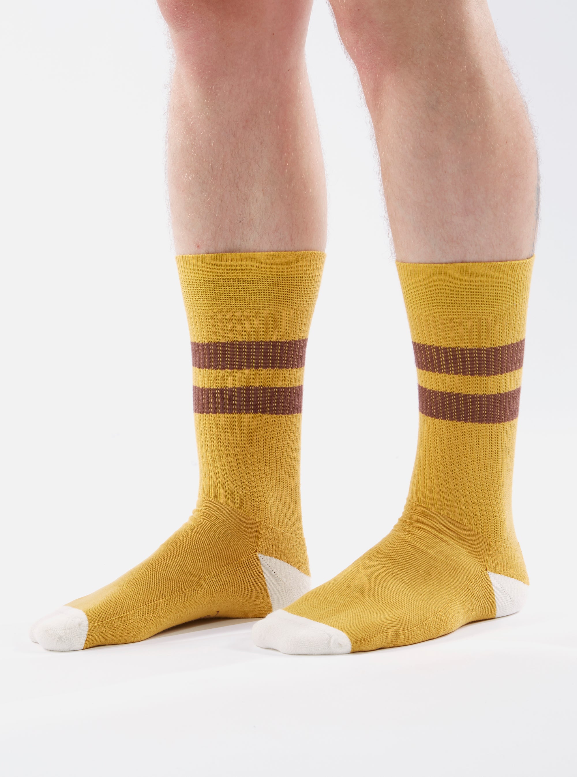 Yellow/Raisin Cotton Rib Sport Sock