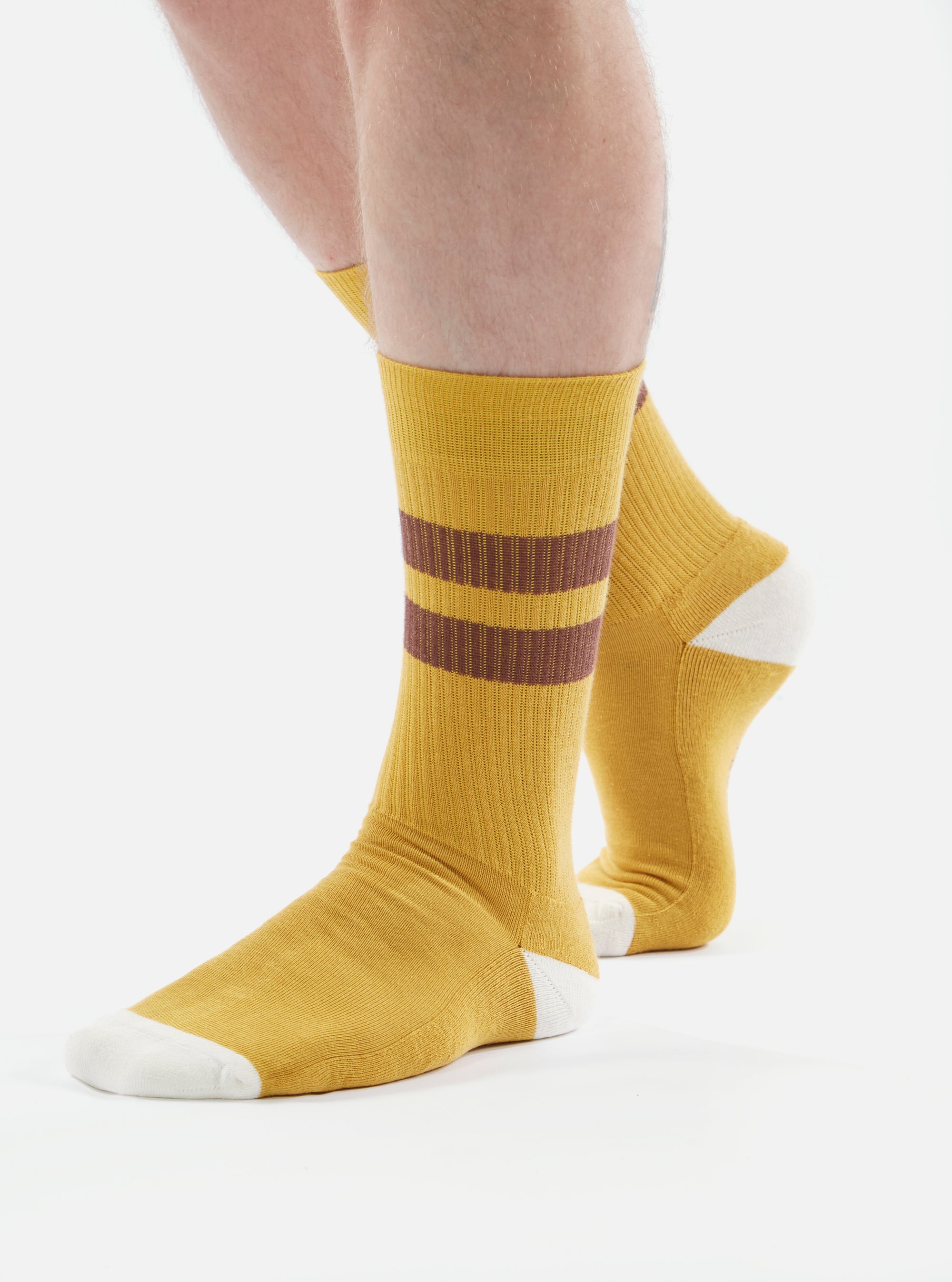 Yellow/Raisin Cotton Rib Sport Sock