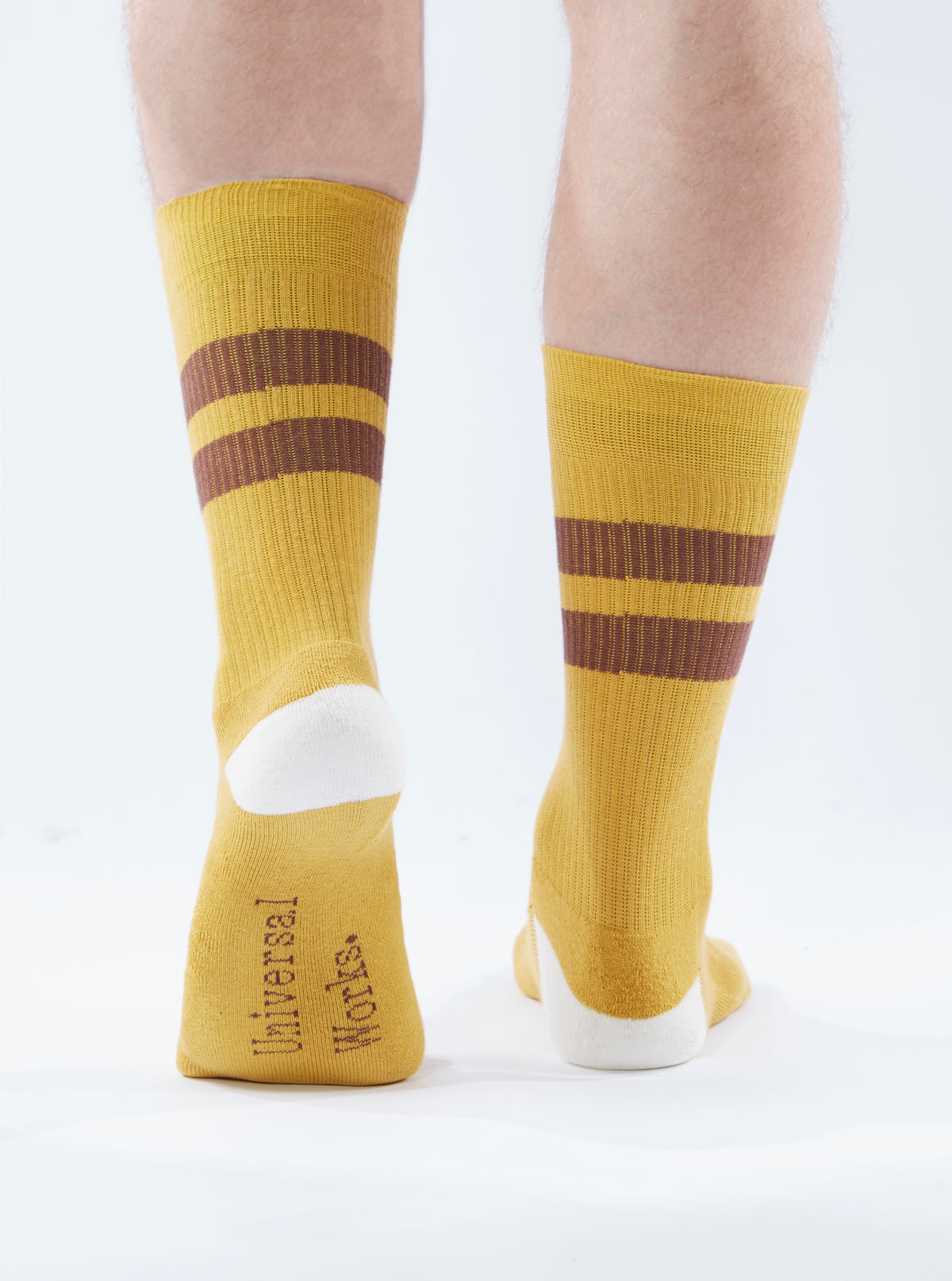 Yellow/Raisin Cotton Rib Sport Sock