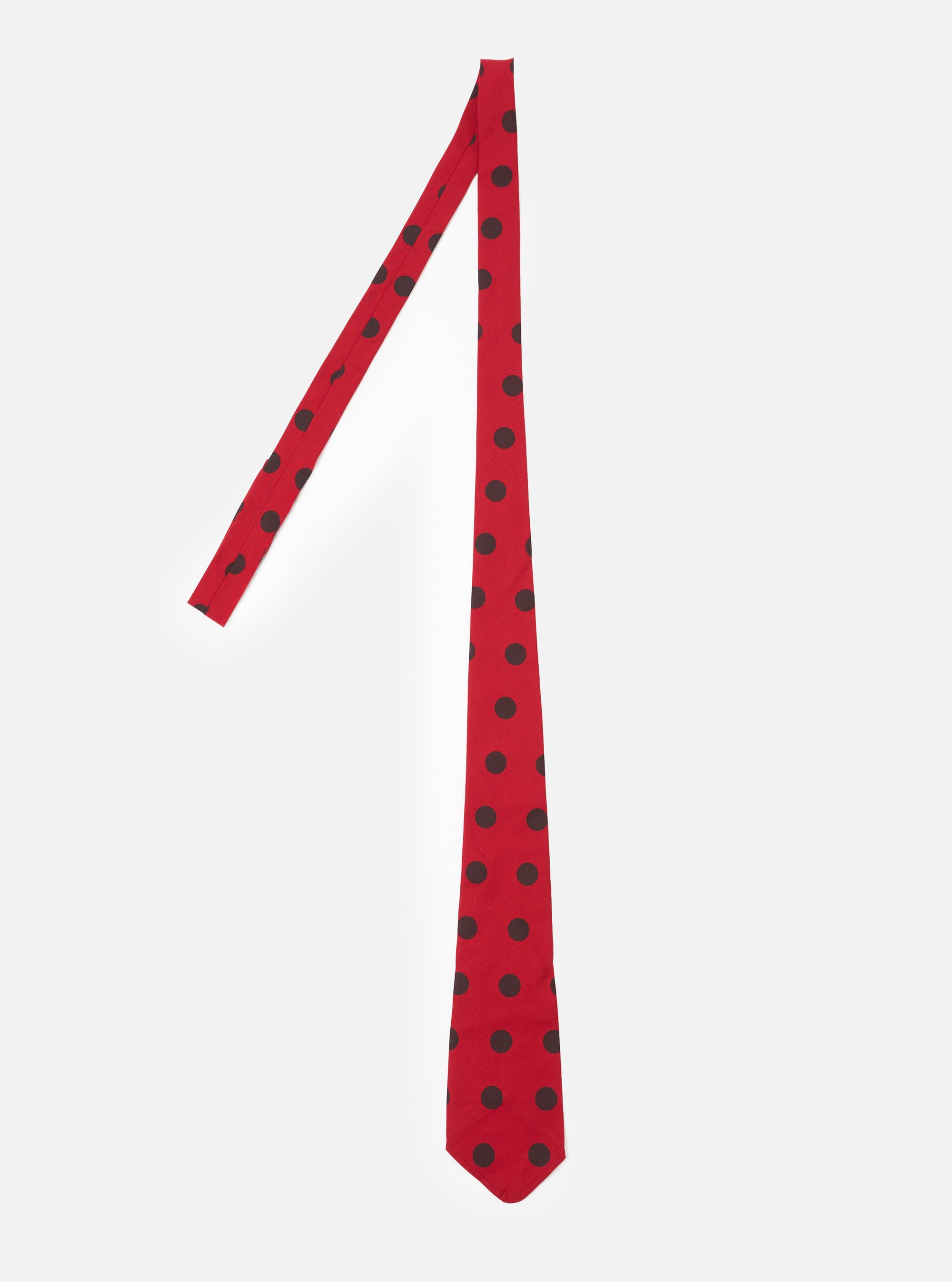 Red/Black Bold Dot Print Rayon Tie