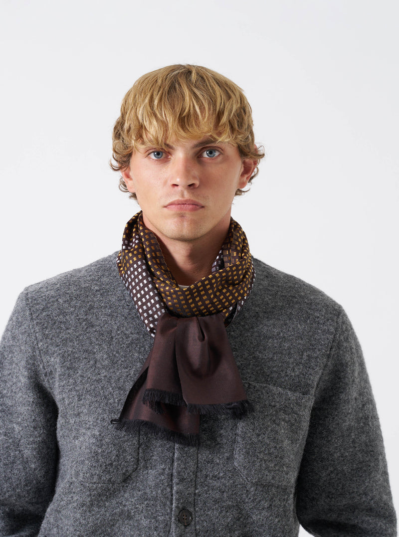Brown/Sky/Gold Jacquard Silk Scarf
