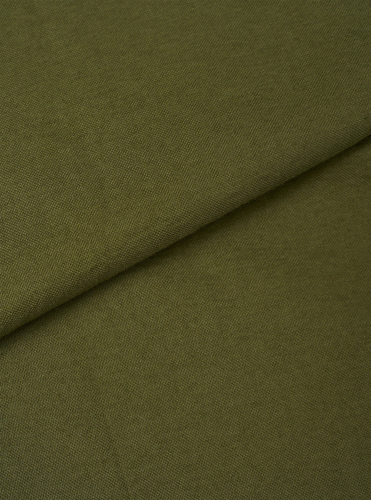 Olive R.Oxford Lazy Day Shirt
